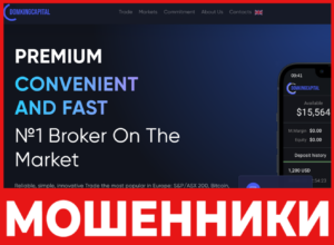 Domking Capital лицевая сторона скрин