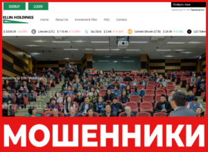 Ellin Holdings лицевая сторона скрин