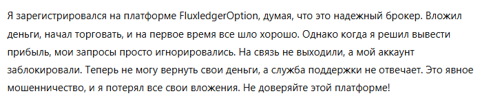 FluxledgerOption 1 скрин