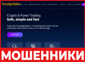 FluxledgerOption лицевая сторона скрин