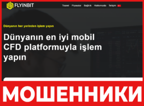 FlyinBit лицевая сторона скрин