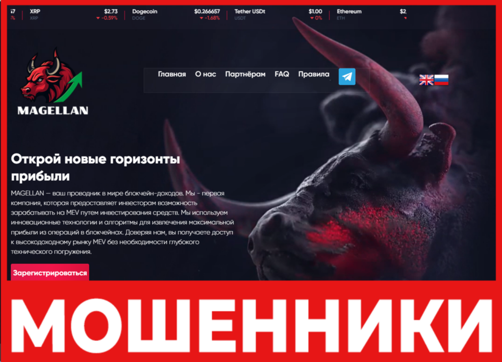 MAGELLAN лицевая сторона скрин