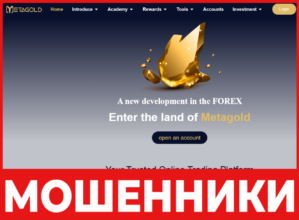 MetaGold лицевая сторона скрин