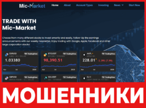 Mic Market лицевая сторона скрин