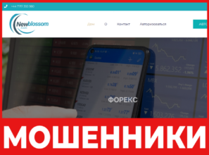 New Blossom лицевая сторона скрин