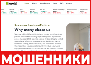 Nicevid Capital Limited лицевая сторона скрин