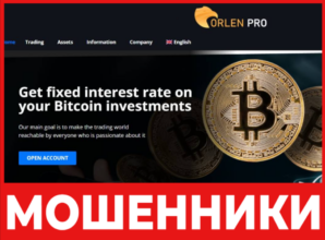 Orlen Pro лицевая сторона скрин