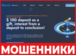 Realix лицевая сторона скрин