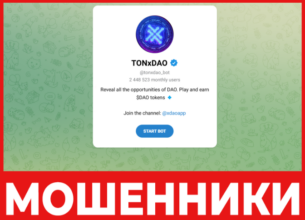 TONxDAO лицевая сторона скрин