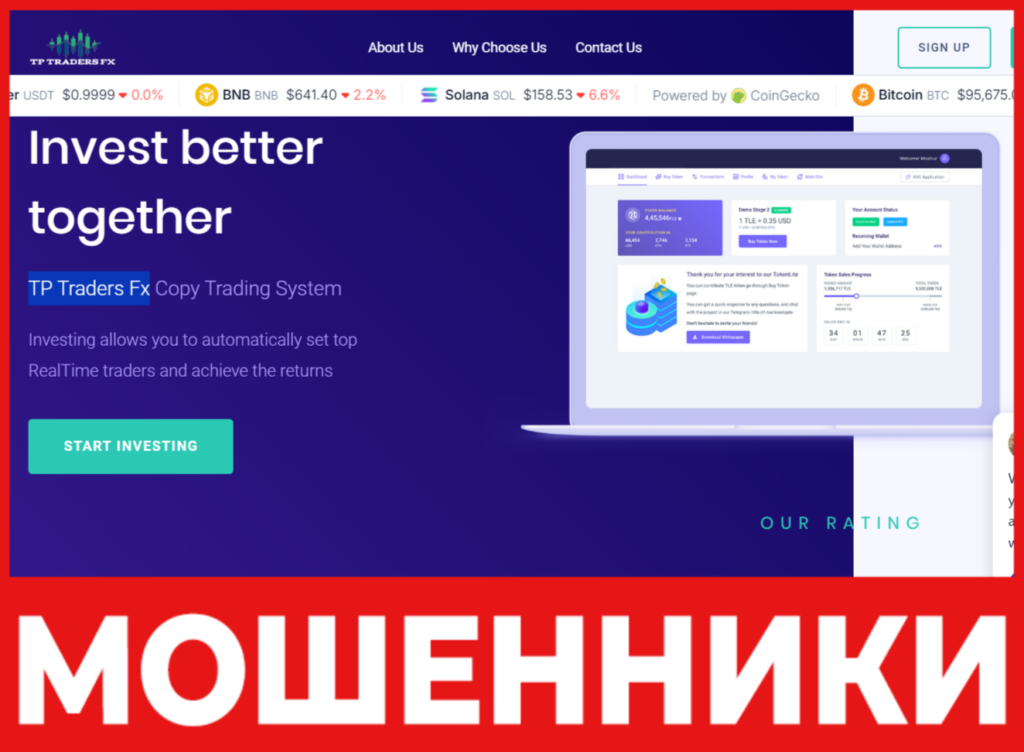 TP Traders Fx лицевая сторона скрин