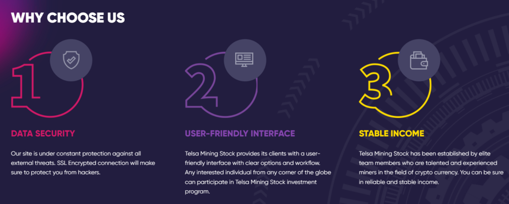 Tesla Mining Stock 2 скрин