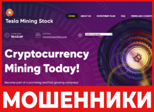 Tesla Mining Stock лицевая сторона скрин