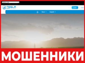 Tesla Stock Shares лицевая сторона скрин