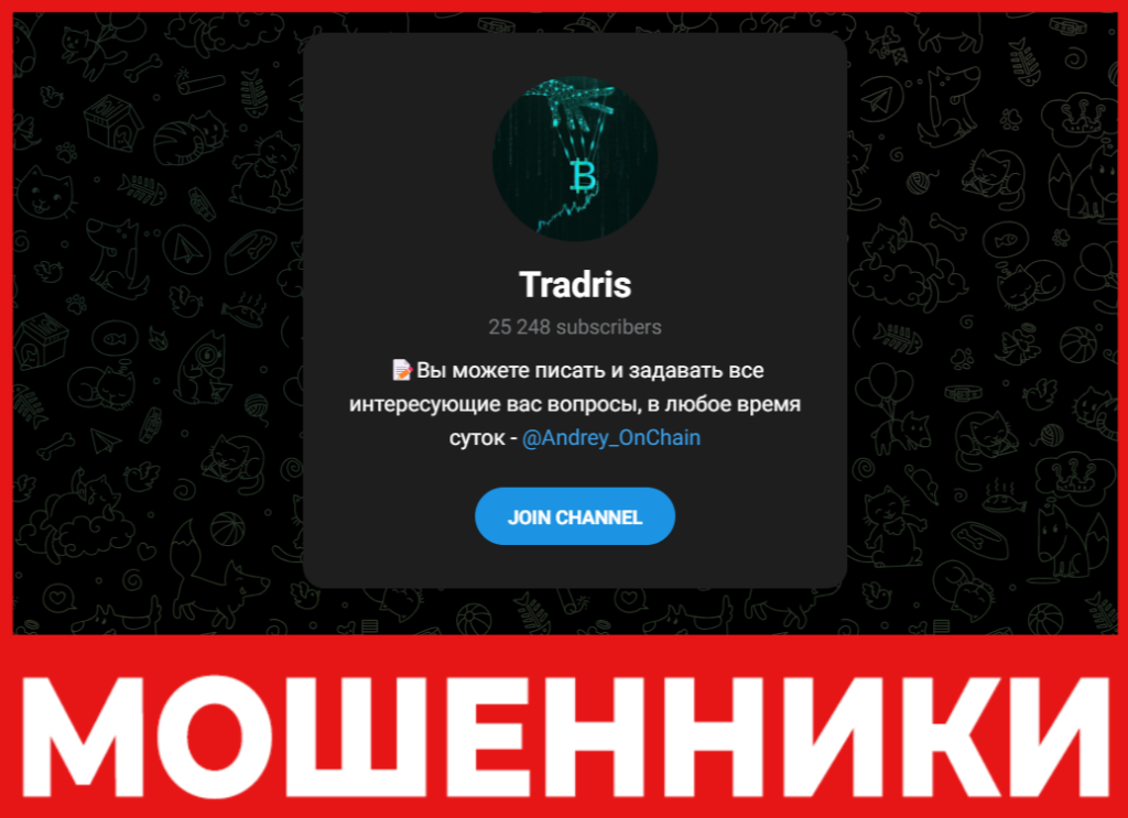 Tradris лицевая сторона скрин