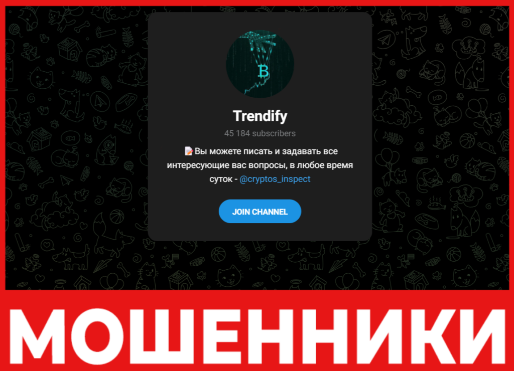 Trendify лицевая сторона скрин