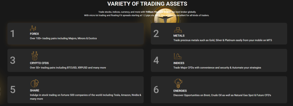 Trillium Financial Broker 2 скрин