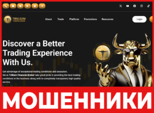 Trillium Financial Broker лицевая сторона скрин