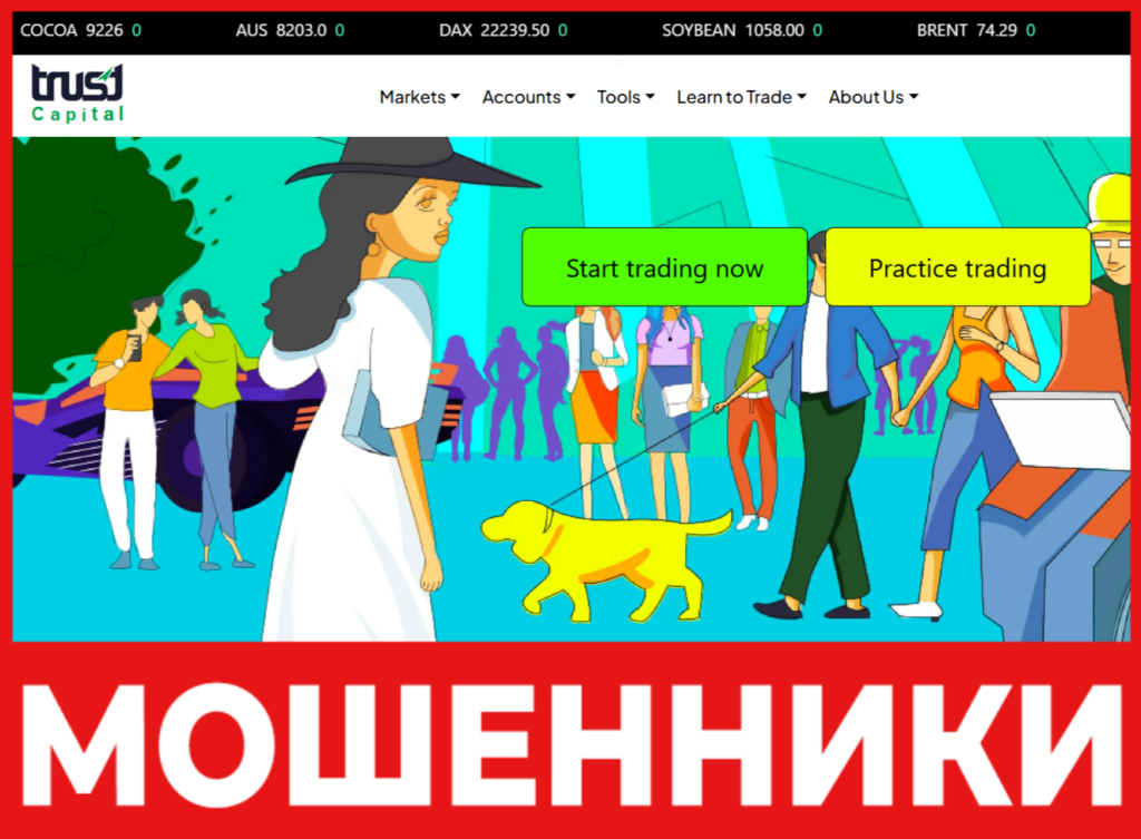 Trust Capital лицевая сторона скрин