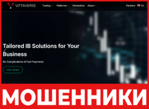 Vittaverse лицевая сторона скрин