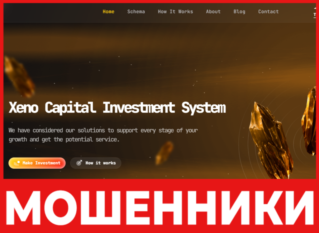 Xeno Capital лицевая сторона скрин
