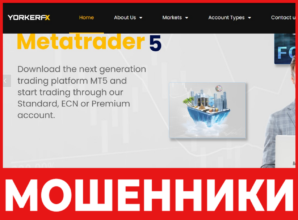 YorkerMarkets лицевая сторона скрин