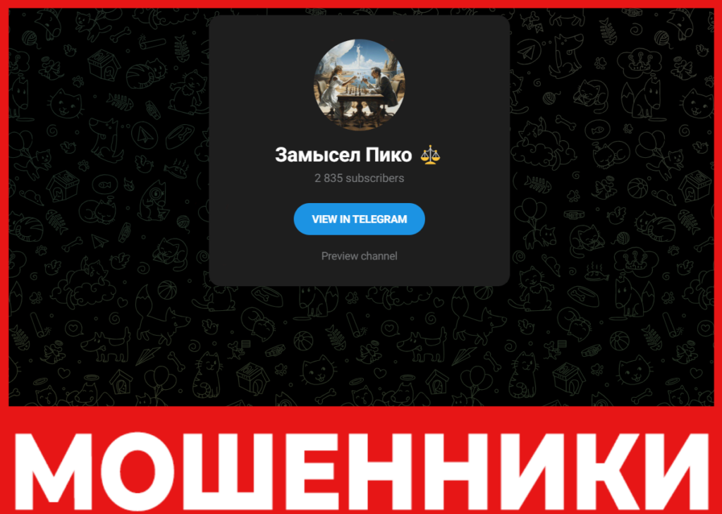 Замысел Пико лицевая сторона скрин