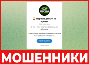 Первые деньги на крипте лицевая сторона скрин