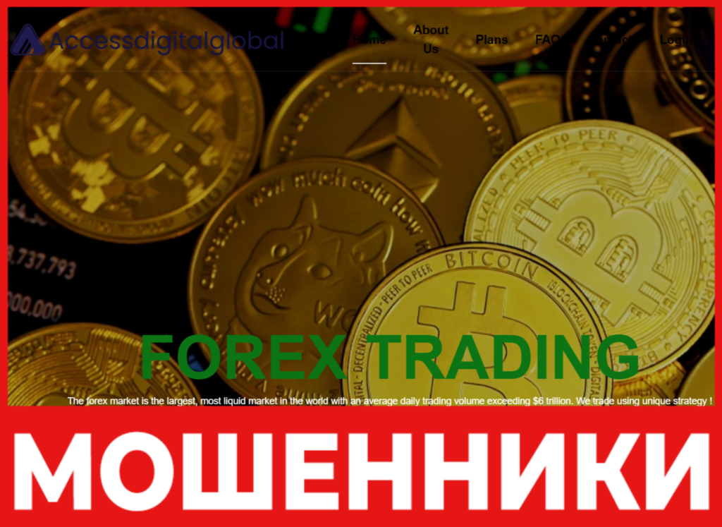 Access Digital Global лицевая сторона скрин