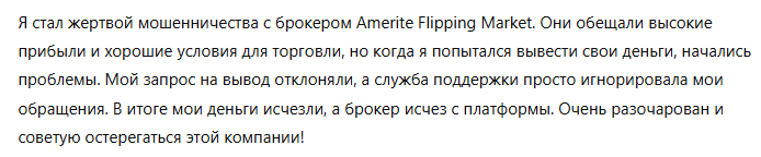 Amerite Flipping Market 3 скрин