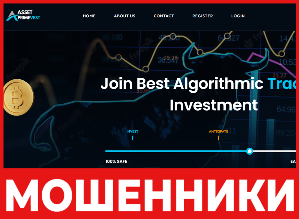 Asset Primevest лицевая сторона скрин
