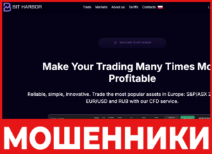 Bit Harbor лицевая сторона скрин