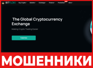 Bitfloki лицевая сторона скрин