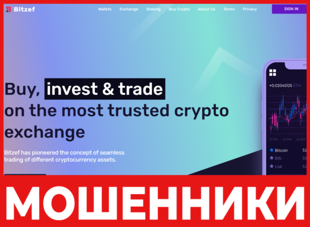 Bitzef лицевая сторона скрин