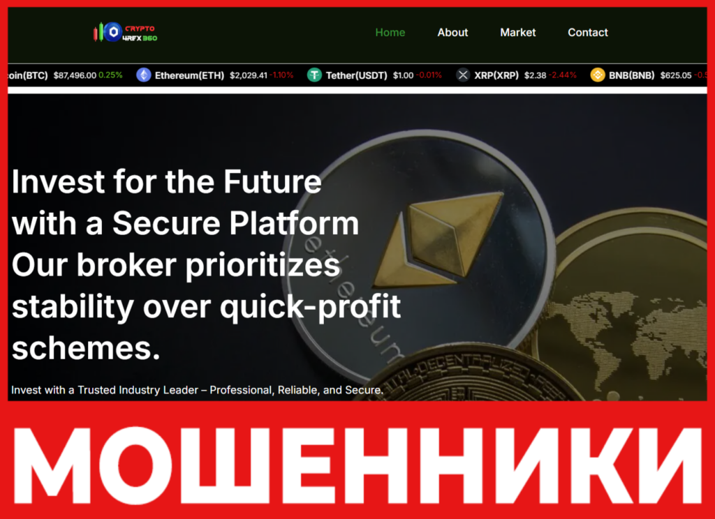 Crypto 4Rex 360 лицевая сторона скрин