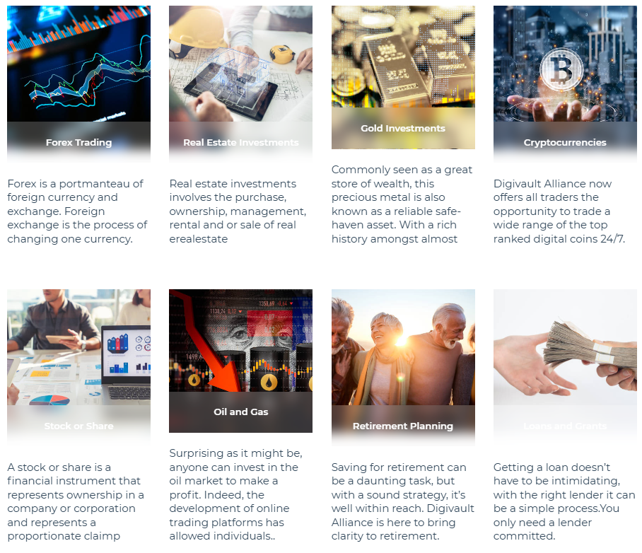 Digivault Alliance 1 скрин