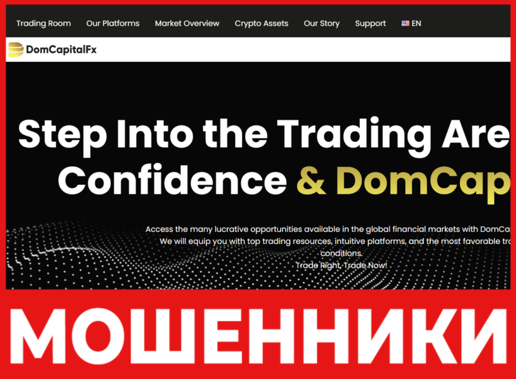 DomCapitalFX лицевая сторона скрин