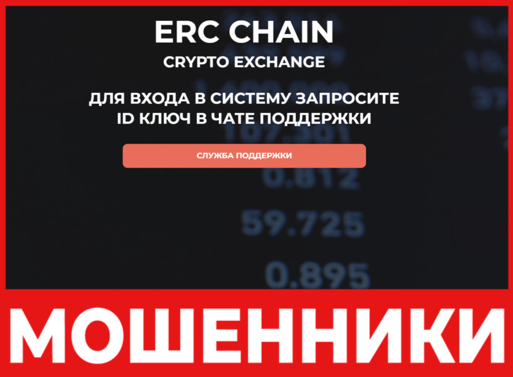 ERC Chain лицевая сторона скрин