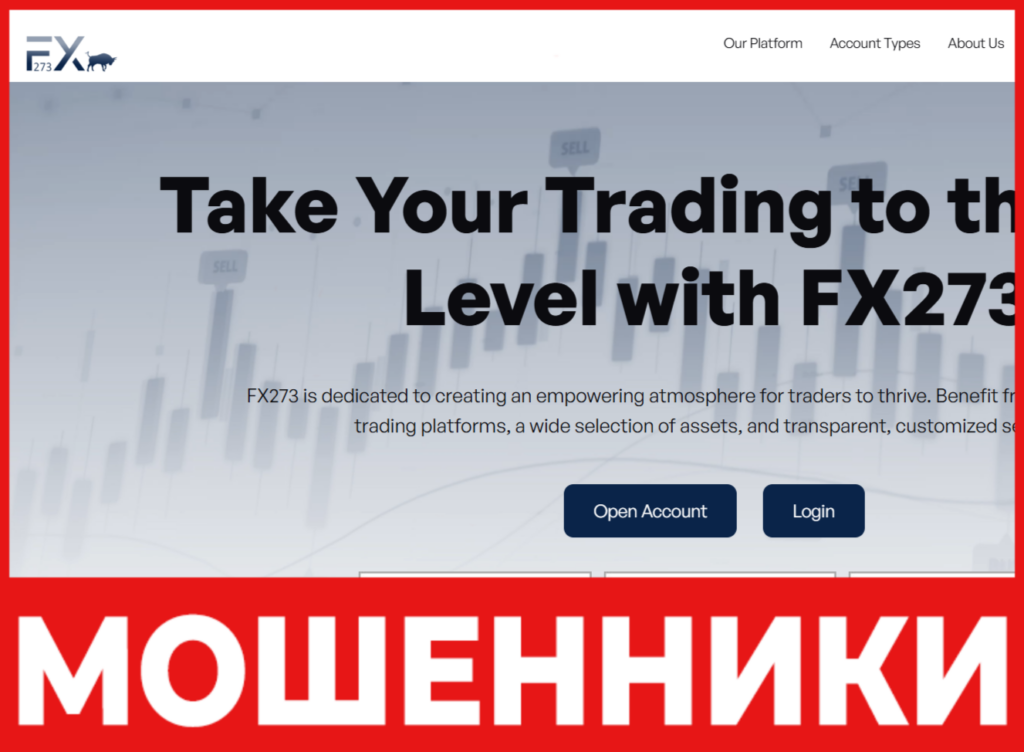 FX273 лицевая сторона скрин