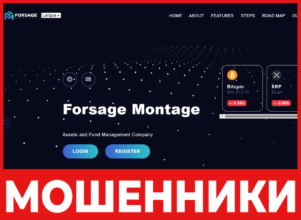 Forsage Montage лицевая сторона скрин