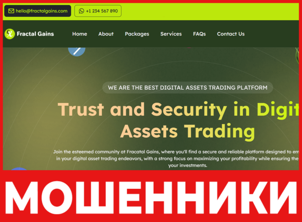 Fracatal Gains лицевая сторона скрин