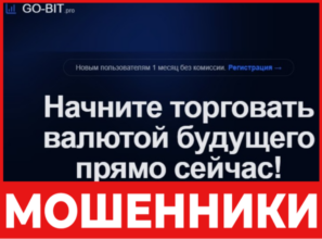 Go Bit лицевая сторона скрин