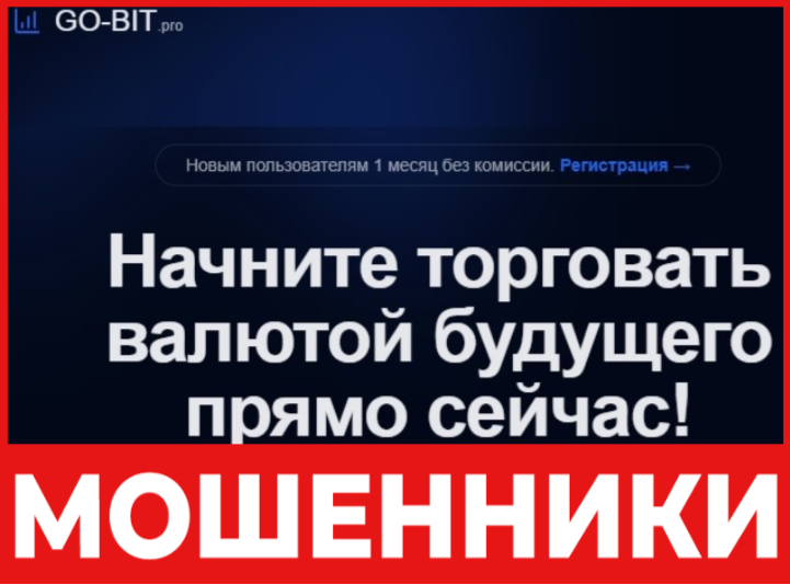 Go Bit лицевая сторона скрин