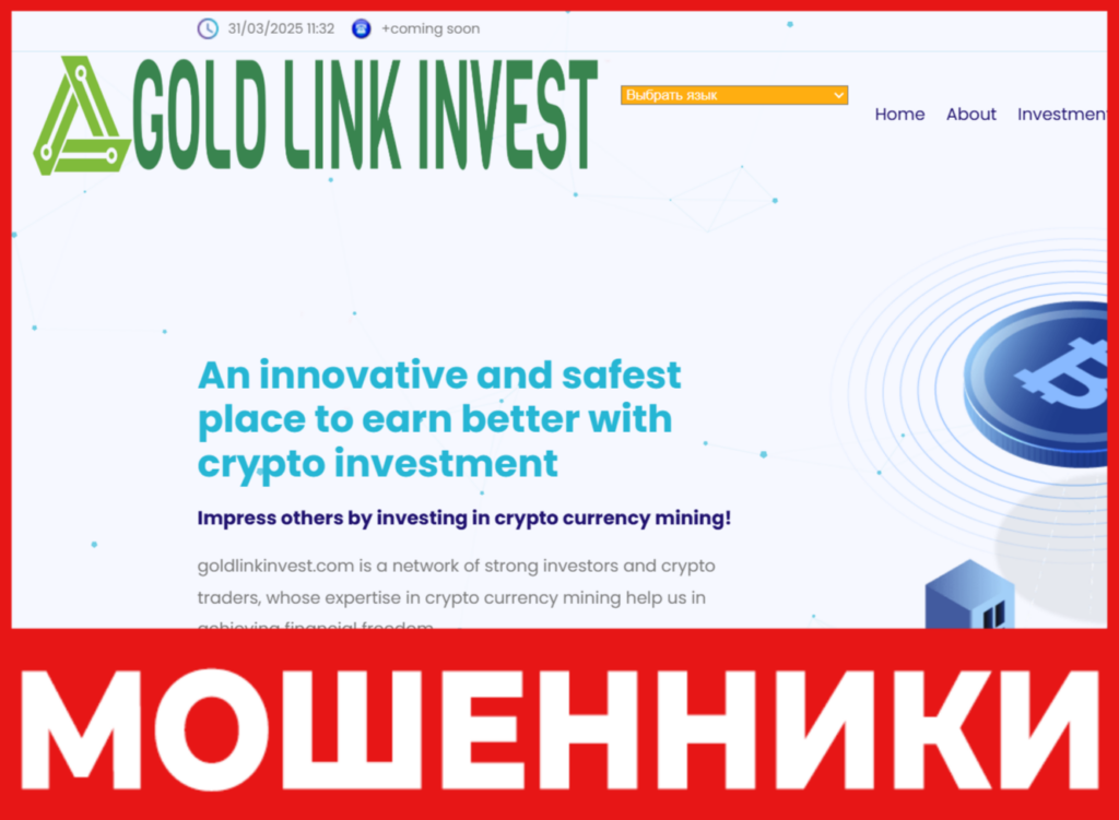 Gold Link Invest лицевая сторона скрин