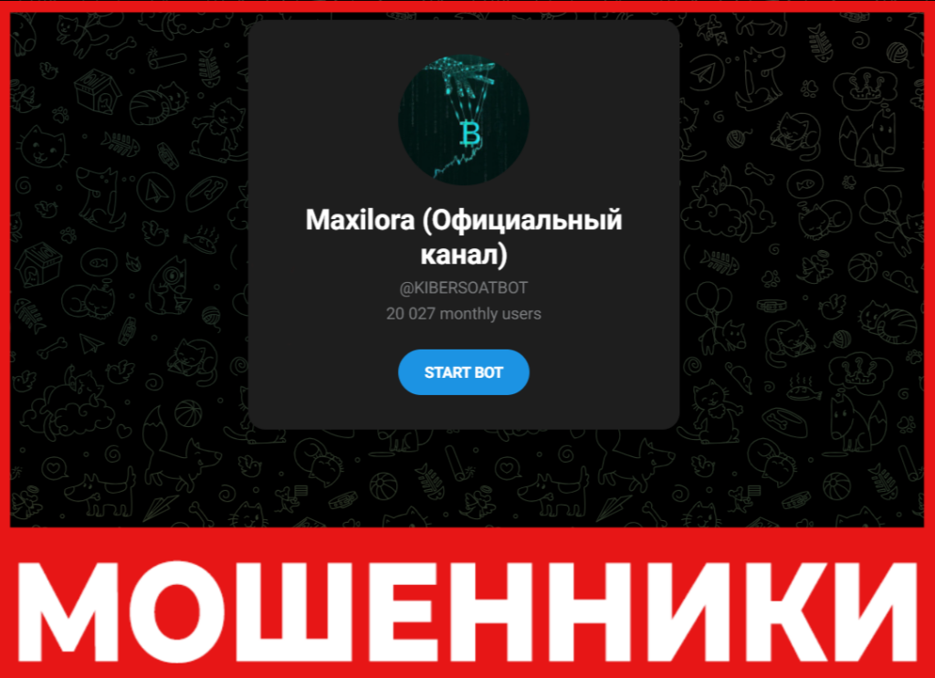 Maxilora лицевая сторона скрин