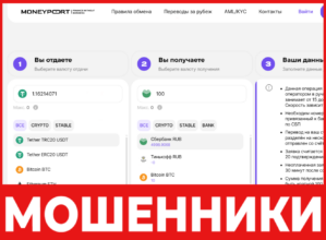 MoneyPort лицевая сторона скрин