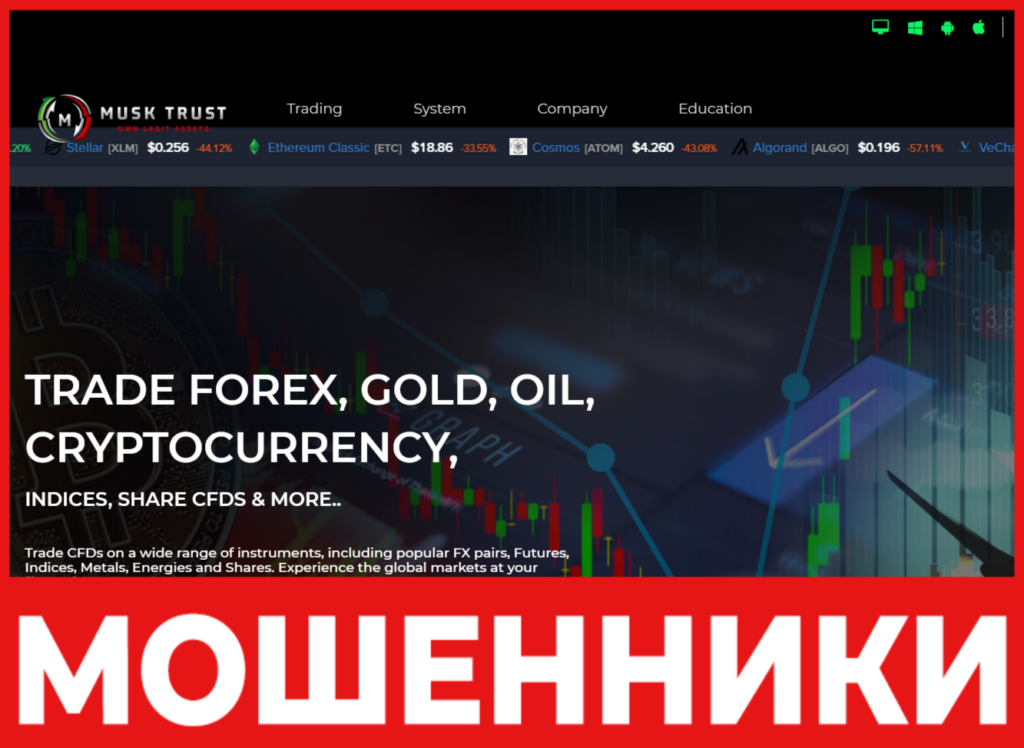 Musk Trust лицевая сторона скрин