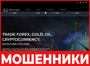 Musk Trust лицевая сторона скрин