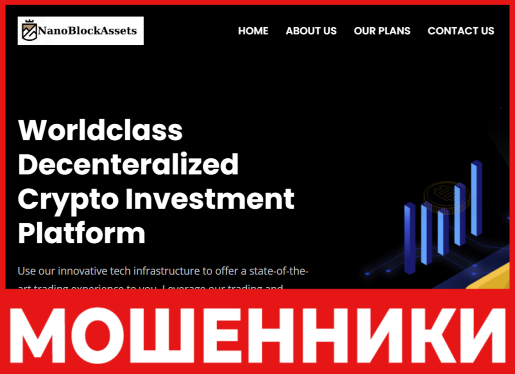 NanoBlockAssets лицевая сторона скрин