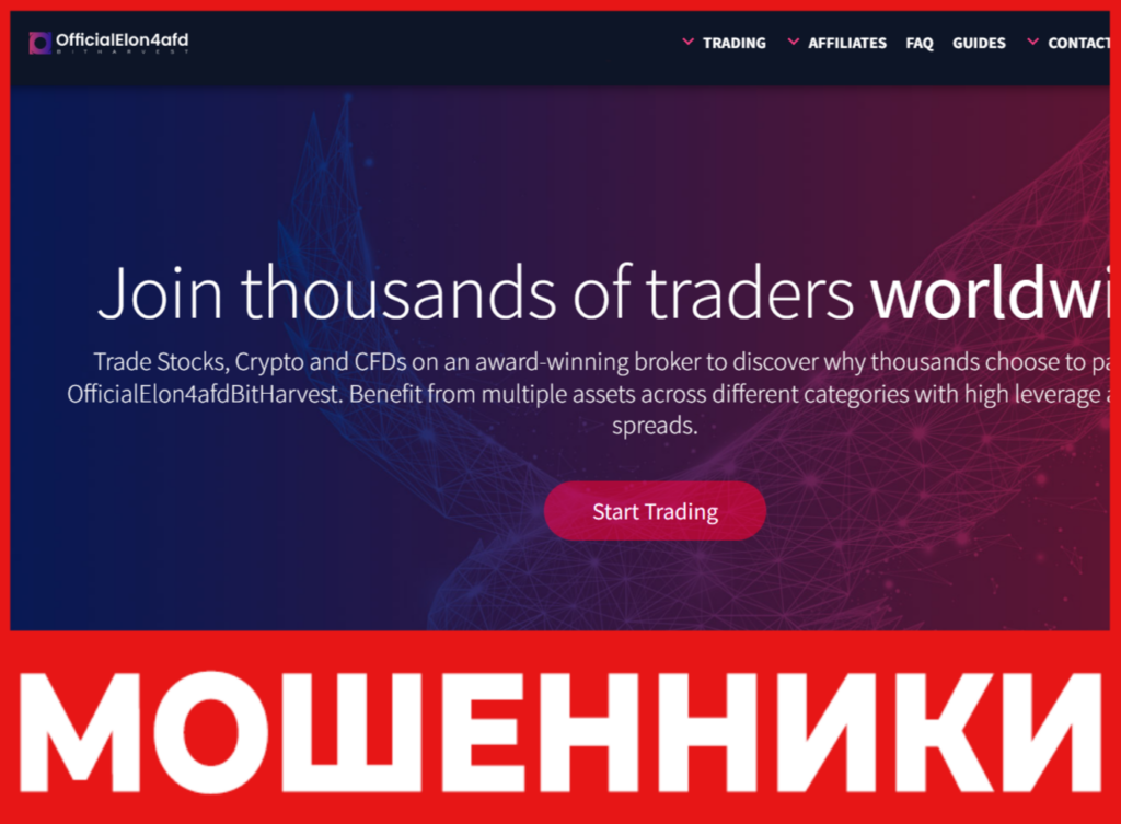 OfficialElon4afdBitHarvest лицевая сторона скрин