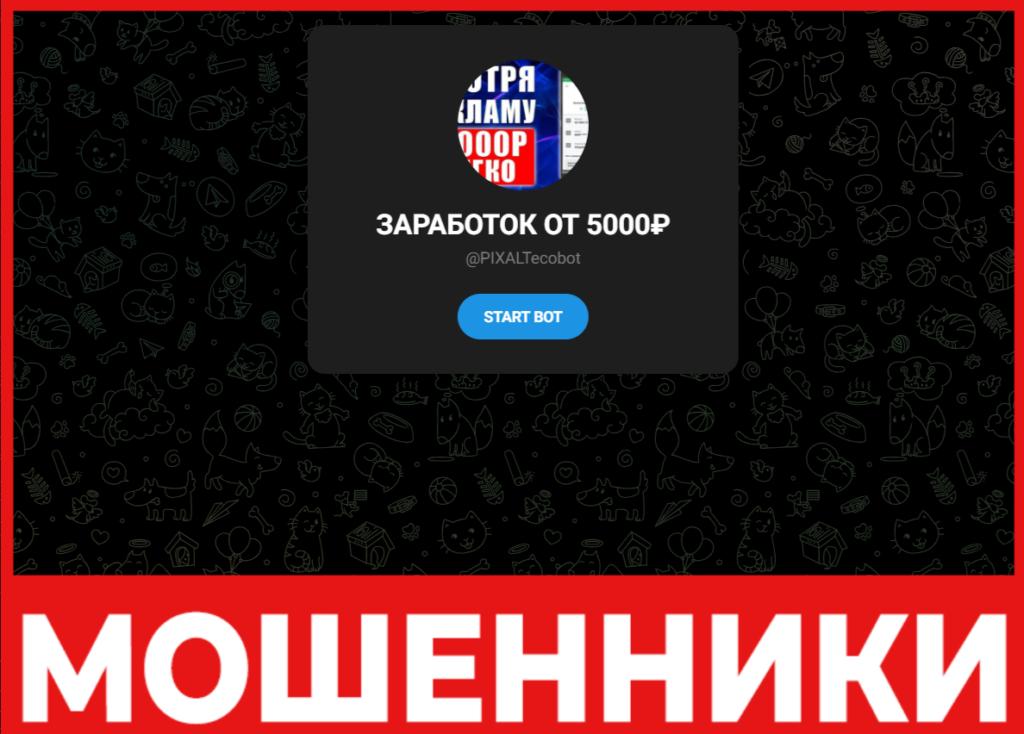 PIXALT INVESTMENT лицевая сторона скрин